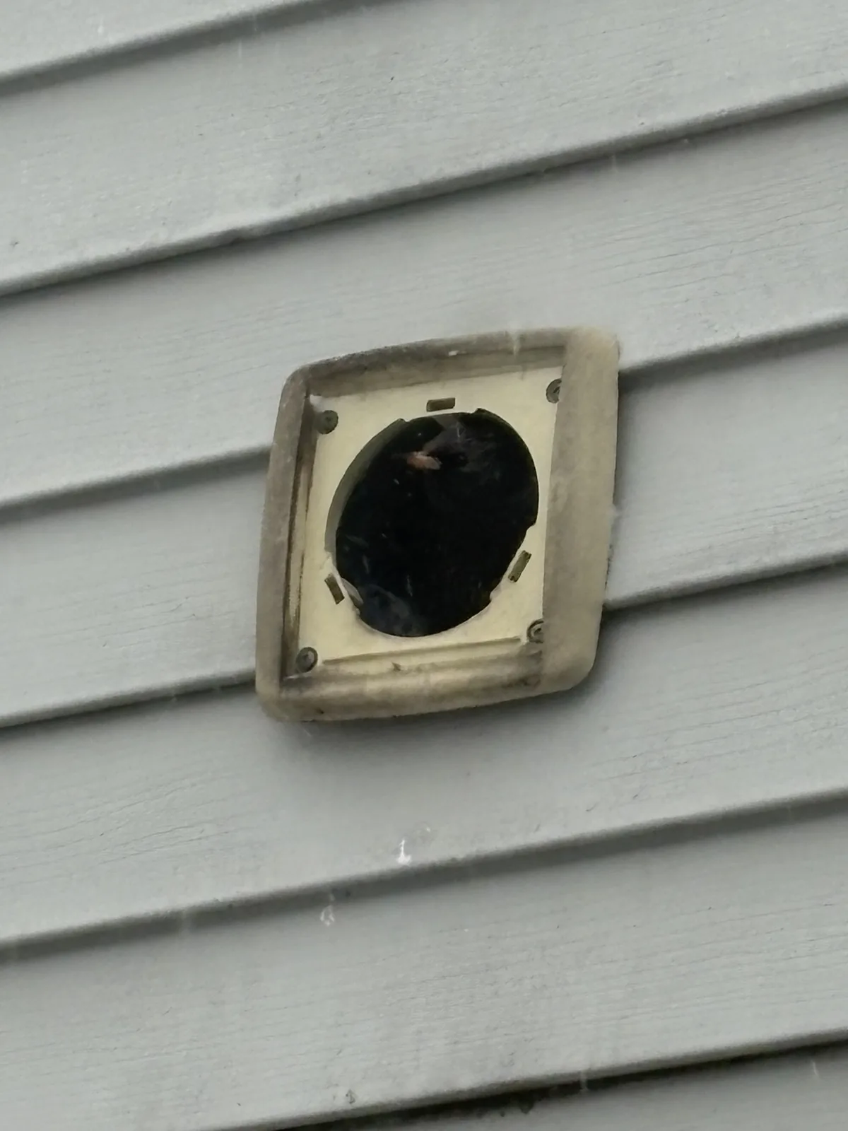 An old, lint-stained dryer wall vent on siding before replacement