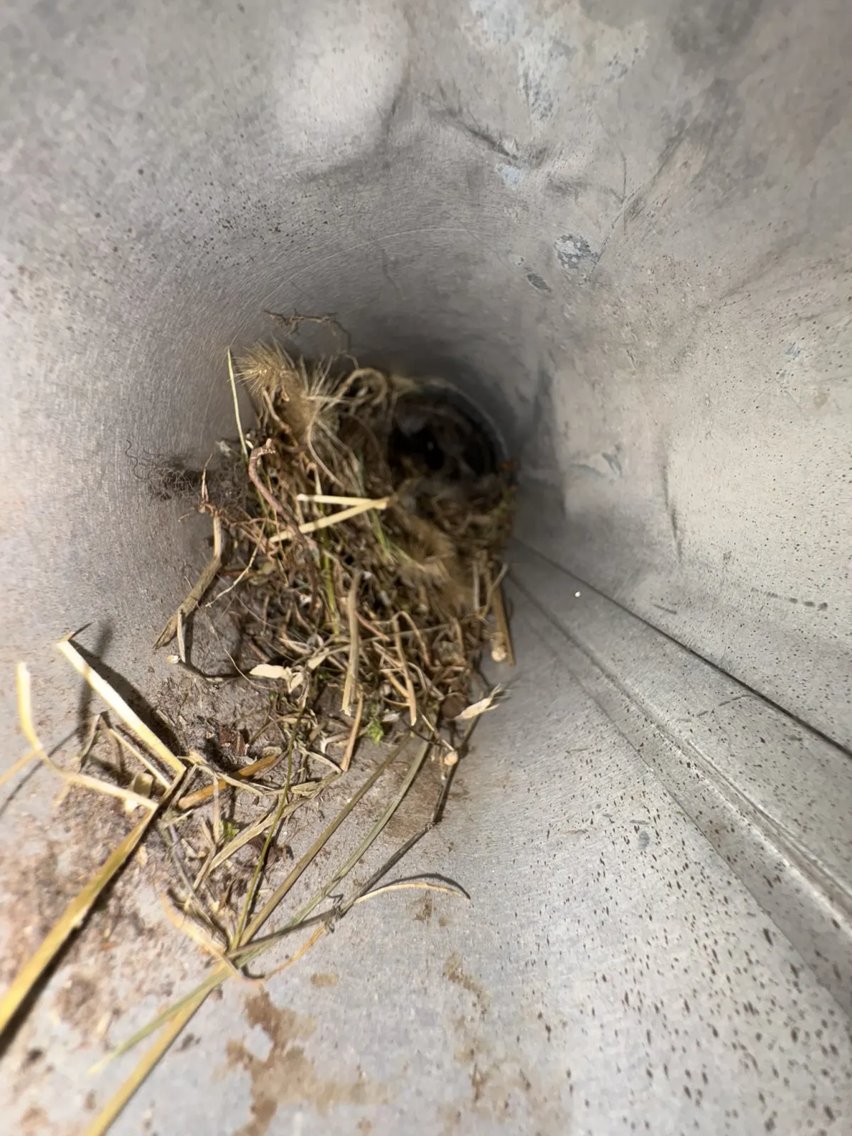 Dry grass and straw stems packed into a round galvanized duct