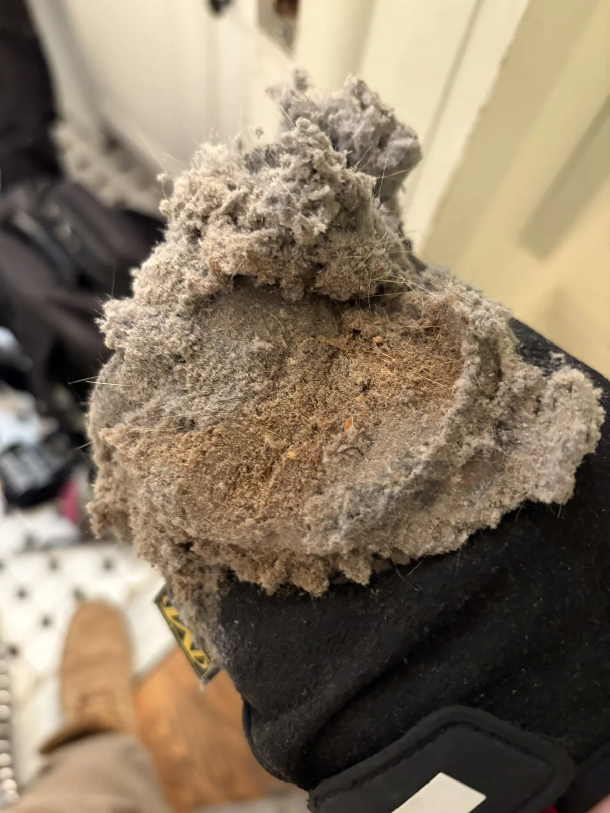 A gloved hand holding a large clump of lint pulled from a dryer vent
