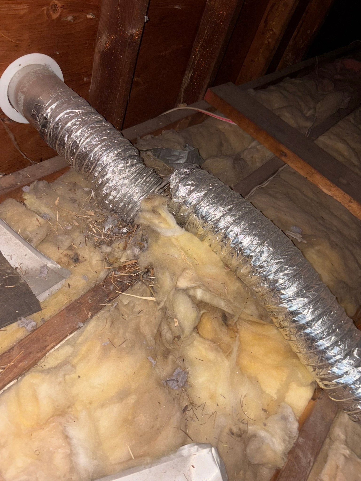 Bird nest removed from a dryer vent in Morristown